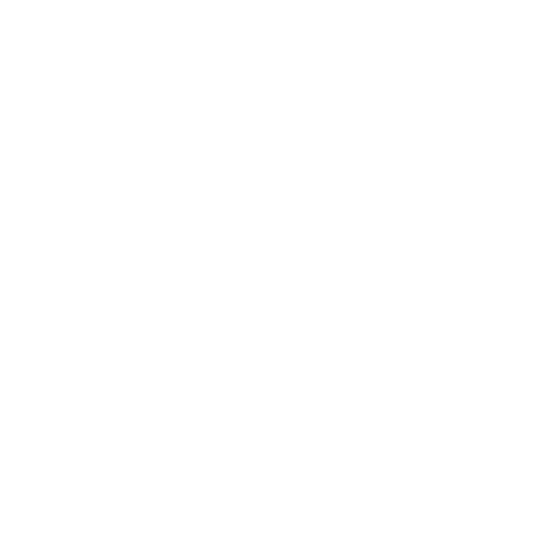 APNA Logo