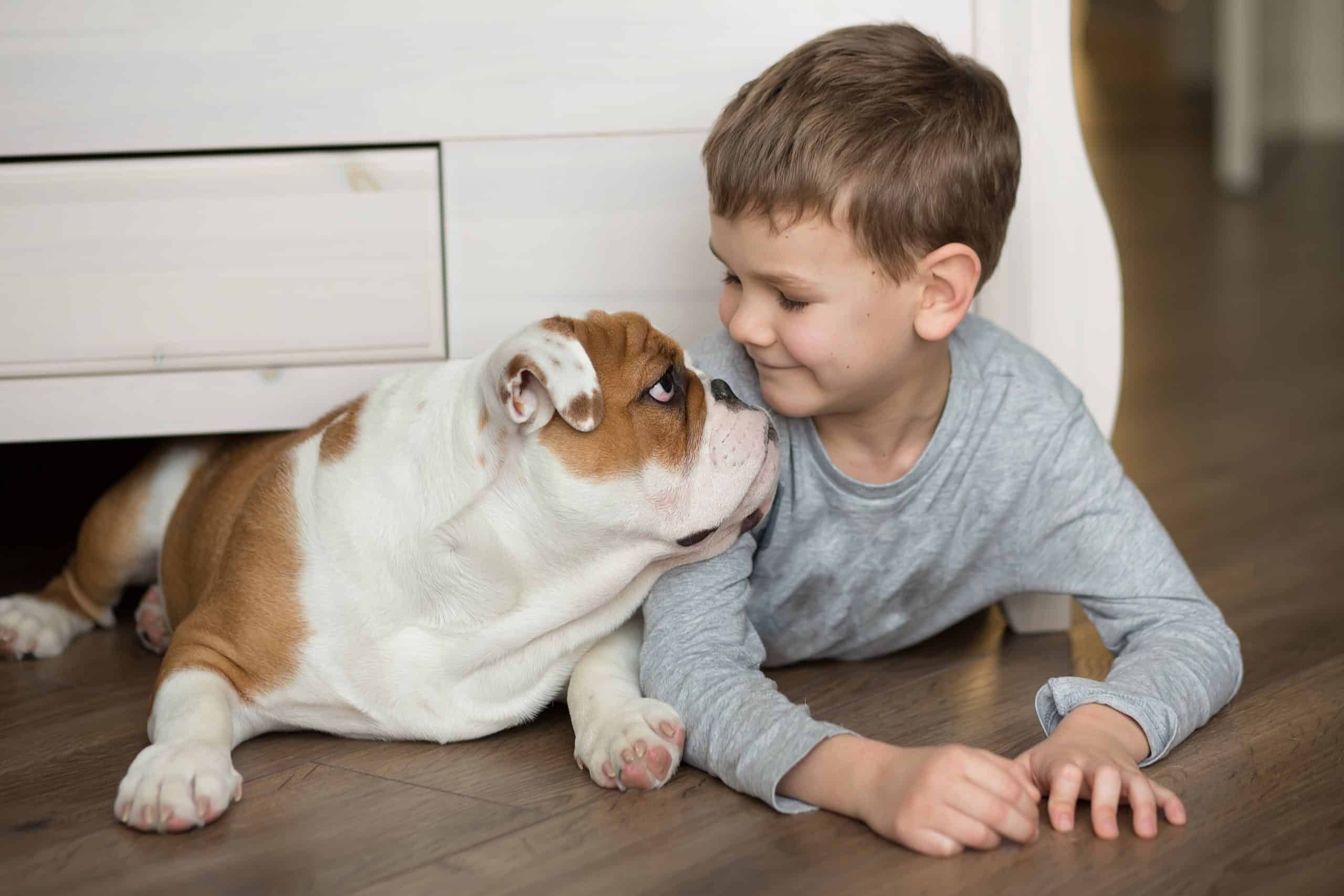 Boy sharing a joyful moment with the family dog at home, building a happy household