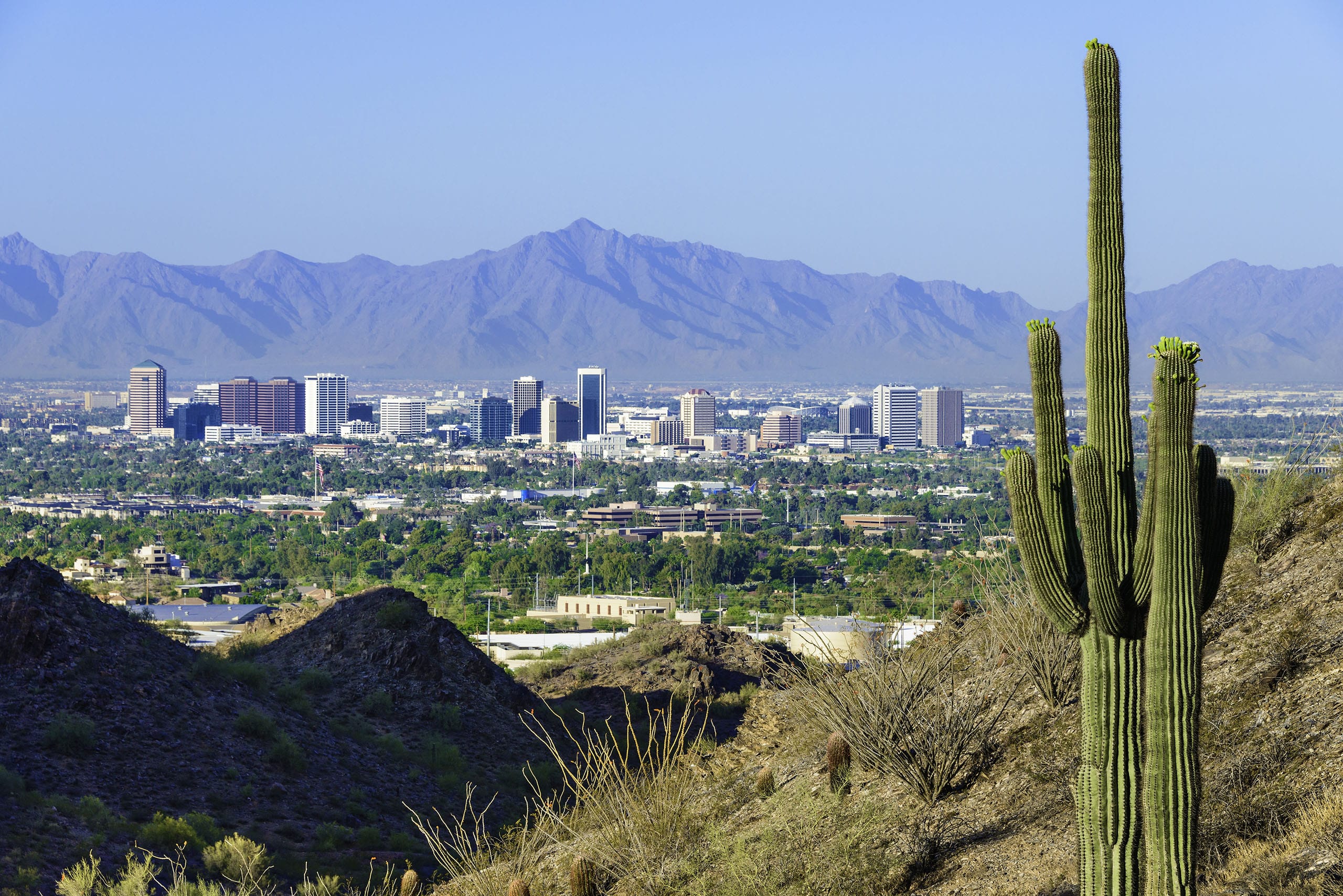 Saguaro cactus overlooking the Phoenix skyline, one of three cities Trusting Connections serves