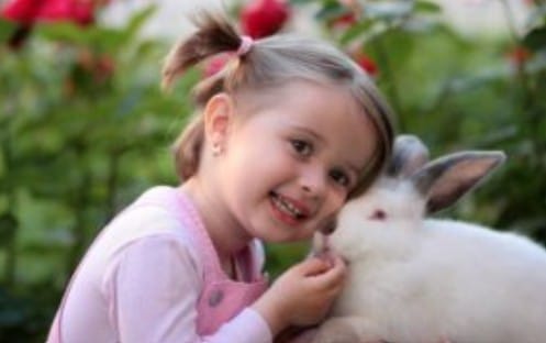 Tips To Reduce Sugar Intake This Easter